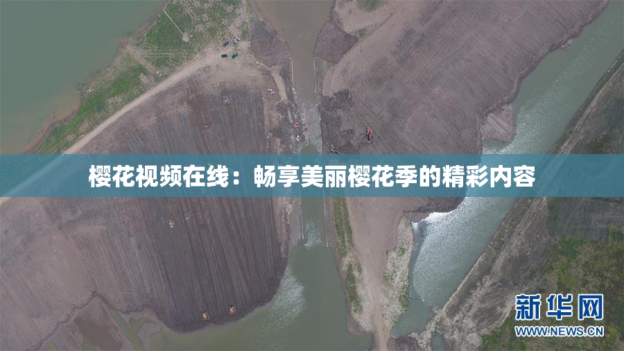 樱花视频在线：畅享美丽樱花季的精彩内容