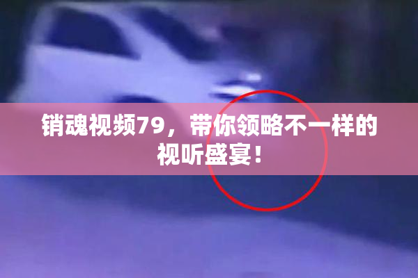 销魂视频79，带你领略不一样的视听盛宴！