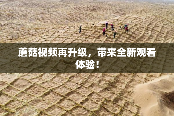 蘑菇视频再升级，带来全新观看体验！