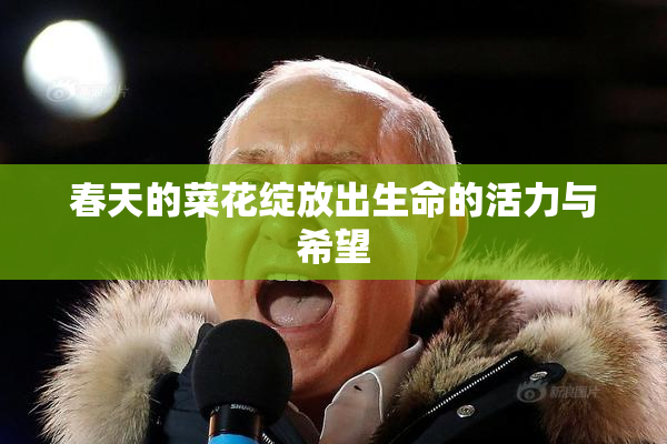 春天的菜花绽放出生命的活力与希望