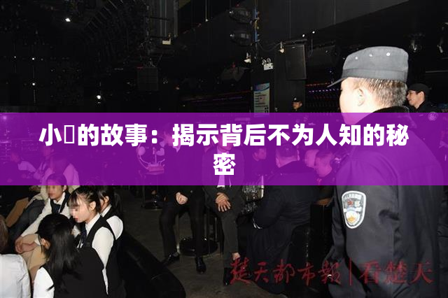 小泬的故事：揭示背后不为人知的秘密
