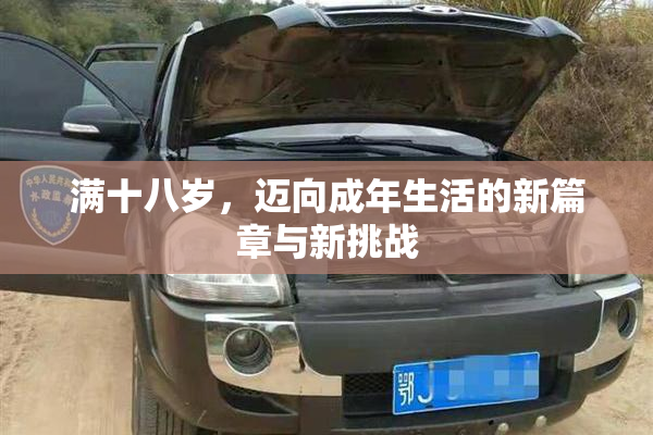 满十八岁，迈向成年生活的新篇章与新挑战