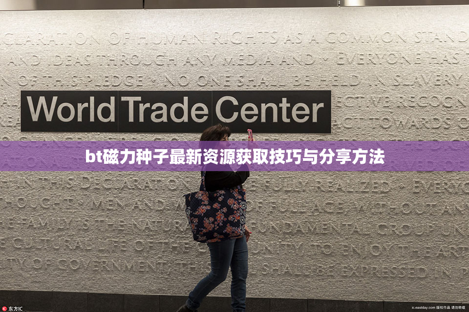 bt磁力种子最新资源获取技巧与分享方法