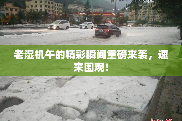 老湿机午的精彩瞬间重磅来袭，速来围观！