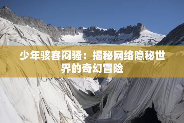 少年骇客闷骚：揭秘网络隐秘世界的奇幻冒险