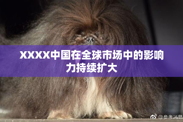 XXXX中国在全球市场中的影响力持续扩大