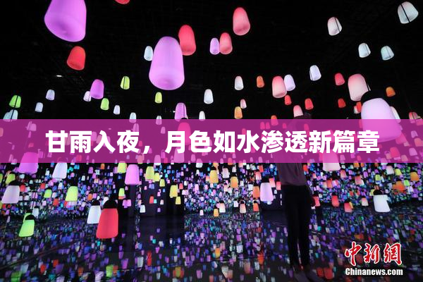 甘雨入夜，月色如水渗透新篇章
