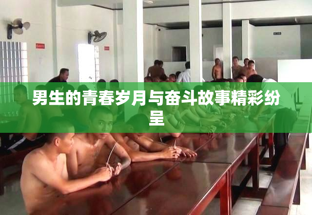 男生的青春岁月与奋斗故事精彩纷呈