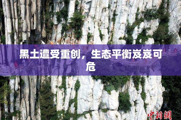黑土遭受重创，生态平衡岌岌可危