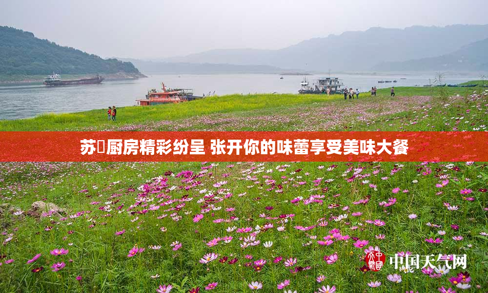 苏玥厨房精彩纷呈 张开你的味蕾享受美味大餐