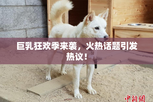 巨乳狂欢季来袭，火热话题引发热议！