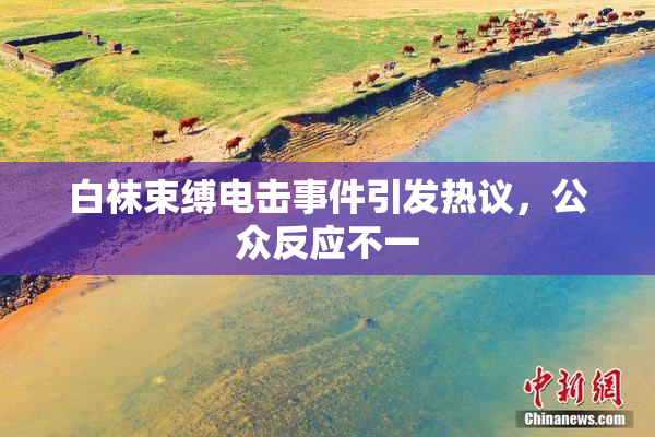 白袜束缚电击事件引发热议，公众反应不一