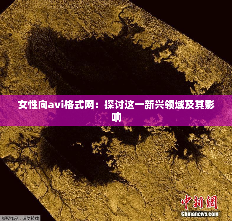 女性向avi格式网：探讨这一新兴领域及其影响
