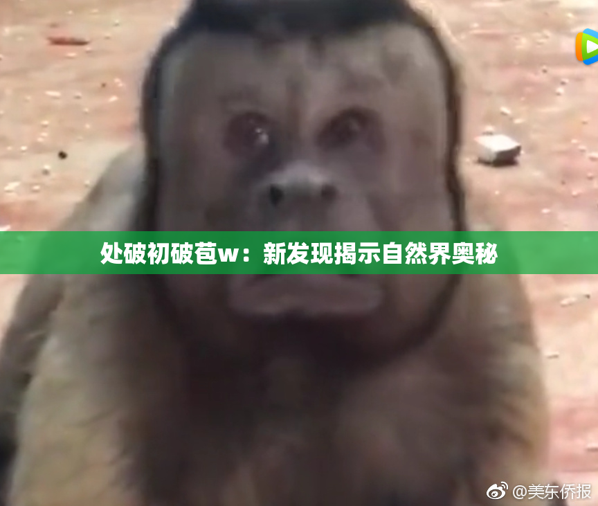 处破初破苞w：新发现揭示自然界奥秘