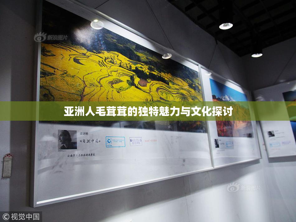 亚洲人毛茸茸的独特魅力与文化探讨