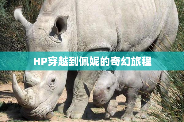 HP穿越到佩妮的奇幻旅程