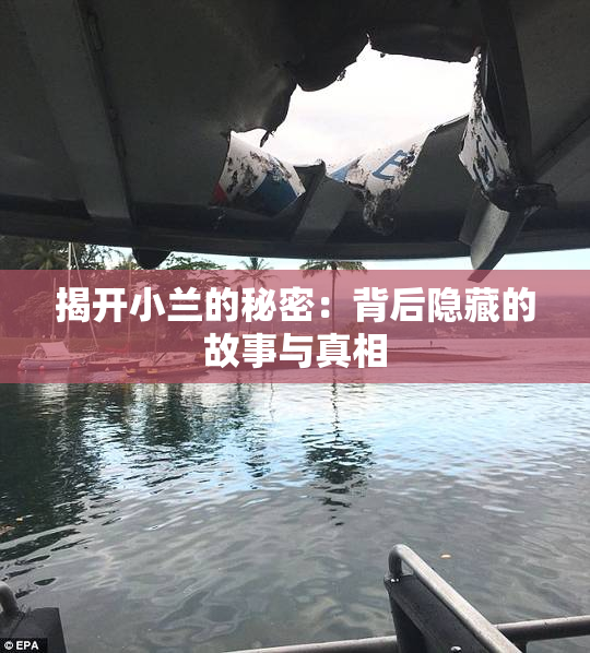 揭开小兰的秘密：背后隐藏的故事与真相
