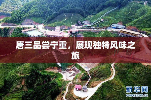 唐三品尝宁重，展现独特风味之旅