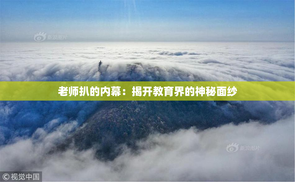 老师扒的内幕：揭开教育界的神秘面纱