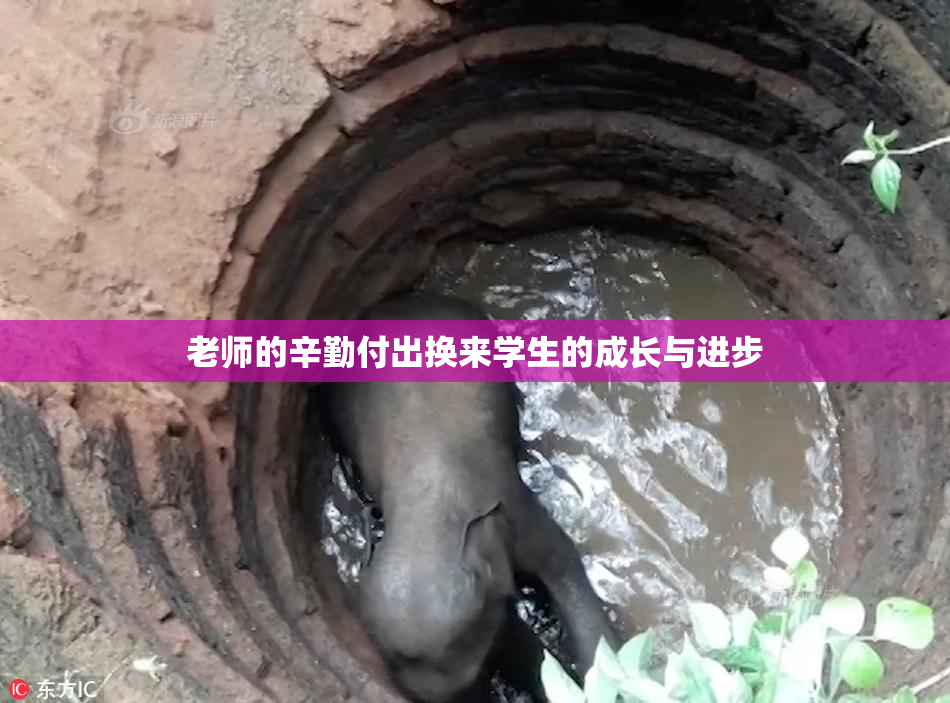 老师的辛勤付出换来学生的成长与进步