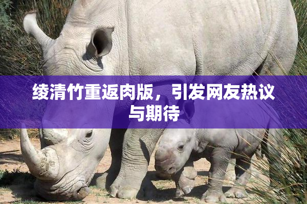 绫清竹重返肉版，引发网友热议与期待