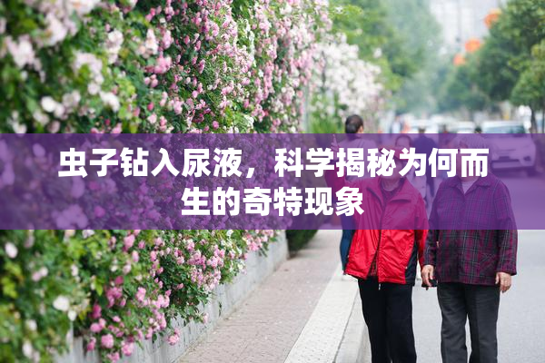 虫子钻入尿液，科学揭秘为何而生的奇特现象