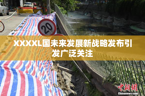 XXXXL国未来发展新战略发布引发广泛关注