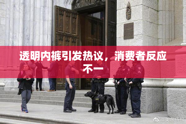 透明内裤引发热议，消费者反应不一