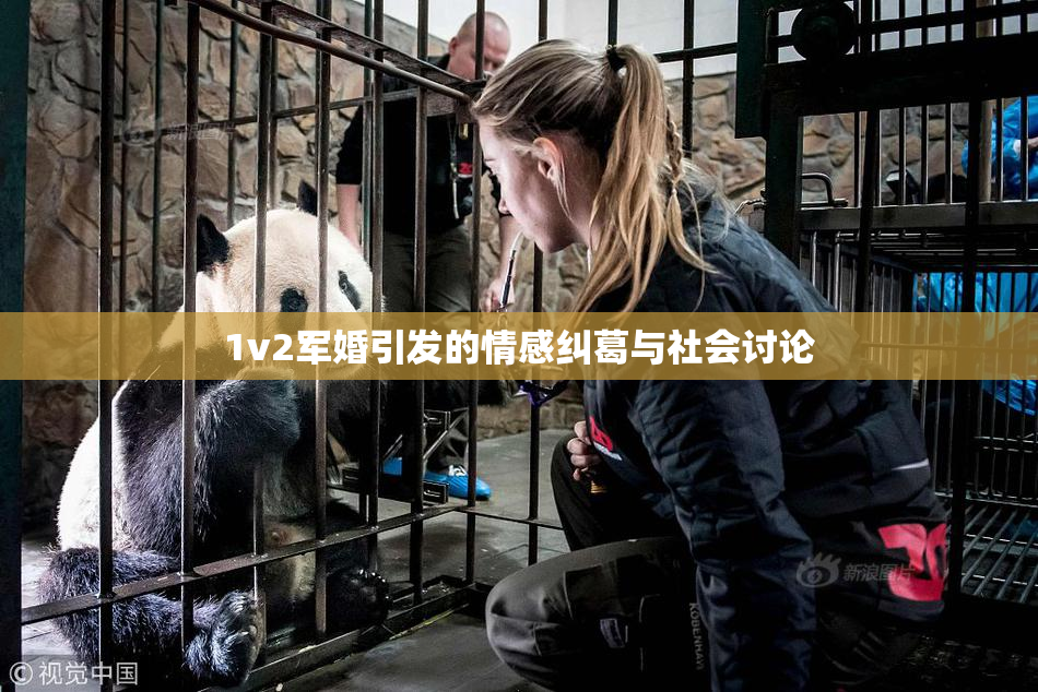 1v2军婚引发的情感纠葛与社会讨论