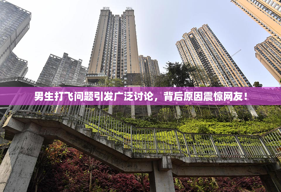 男生打飞问题引发广泛讨论，背后原因震惊网友！