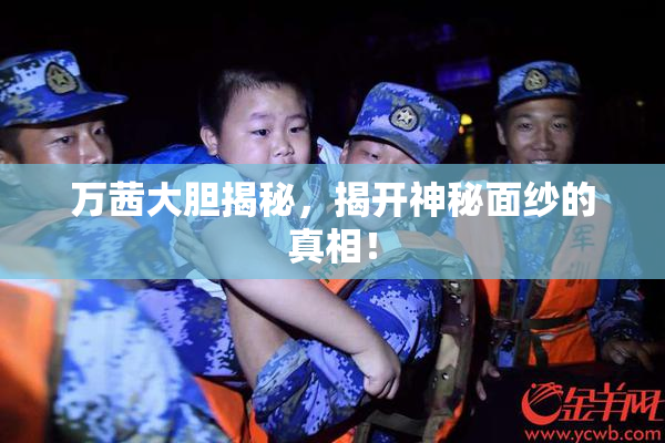 万茜大胆揭秘，揭开神秘面纱的真相！