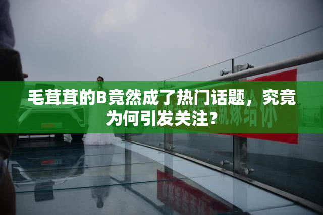 毛茸茸的B竟然成了热门话题，究竟为何引发关注？