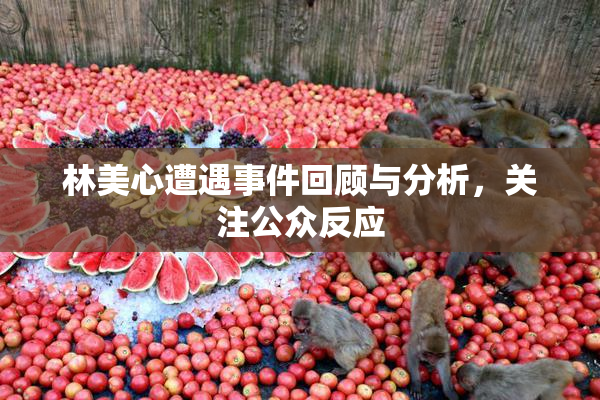 林美心遭遇事件回顾与分析，关注公众反应