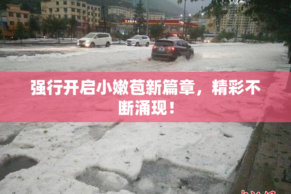 强行开启小嫩苞新篇章，精彩不断涌现！