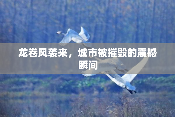 龙卷风袭来，城市被摧毁的震撼瞬间