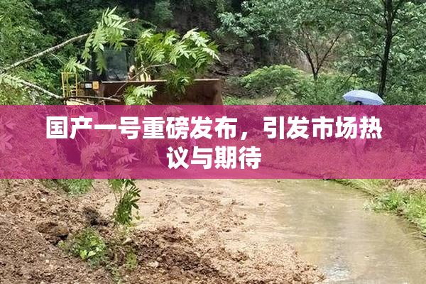 国产一号重磅发布，引发市场热议与期待