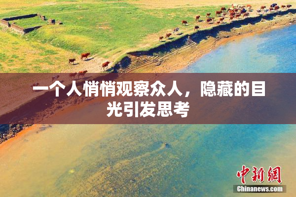 一个人悄悄观察众人，隐藏的目光引发思考