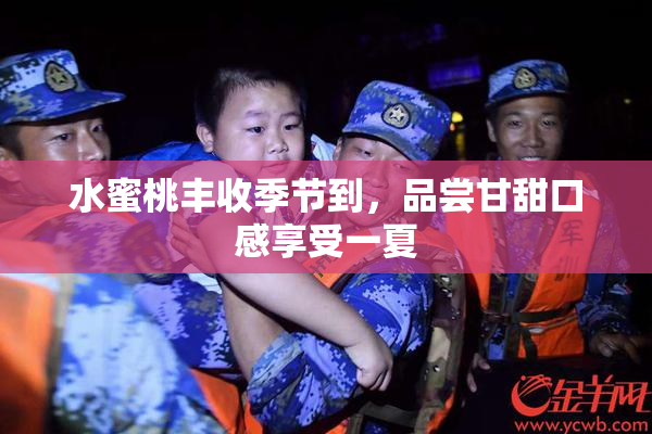 水蜜桃丰收季节到，品尝甘甜口感享受一夏