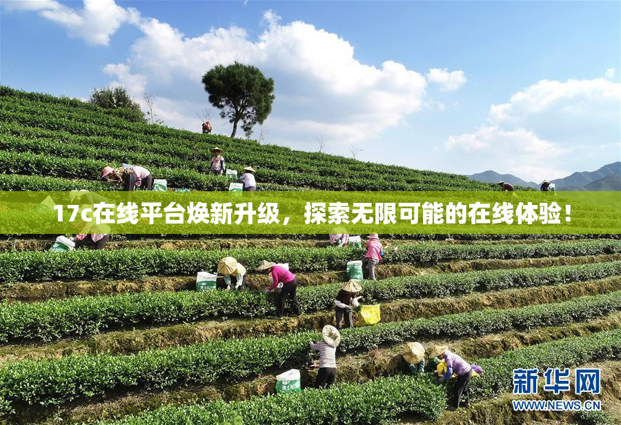 17c在线平台焕新升级，探索无限可能的在线体验！