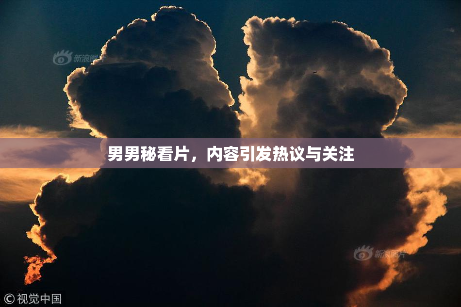 男男秘看片，内容引发热议与关注