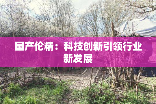 国产伦精：科技创新引领行业新发展