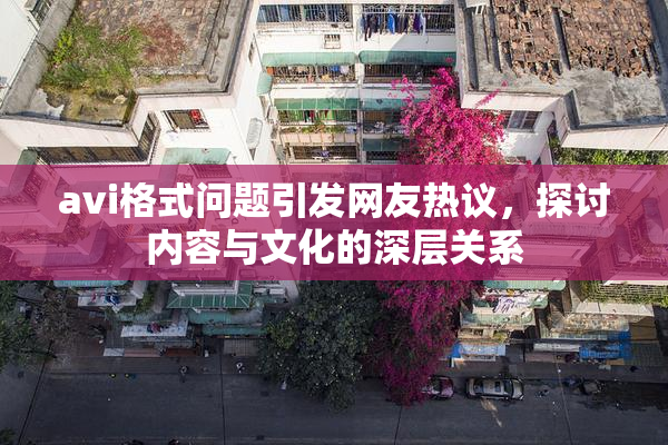 avi格式问题引发网友热议，探讨内容与文化的深层关系