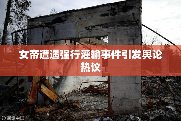 女帝遭遇强行灌输事件引发舆论热议