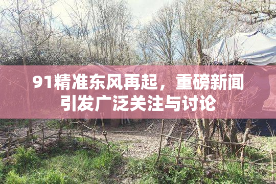 91精准东风再起，重磅新闻引发广泛关注与讨论
