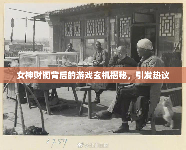 女神财阀背后的游戏玄机揭秘，引发热议