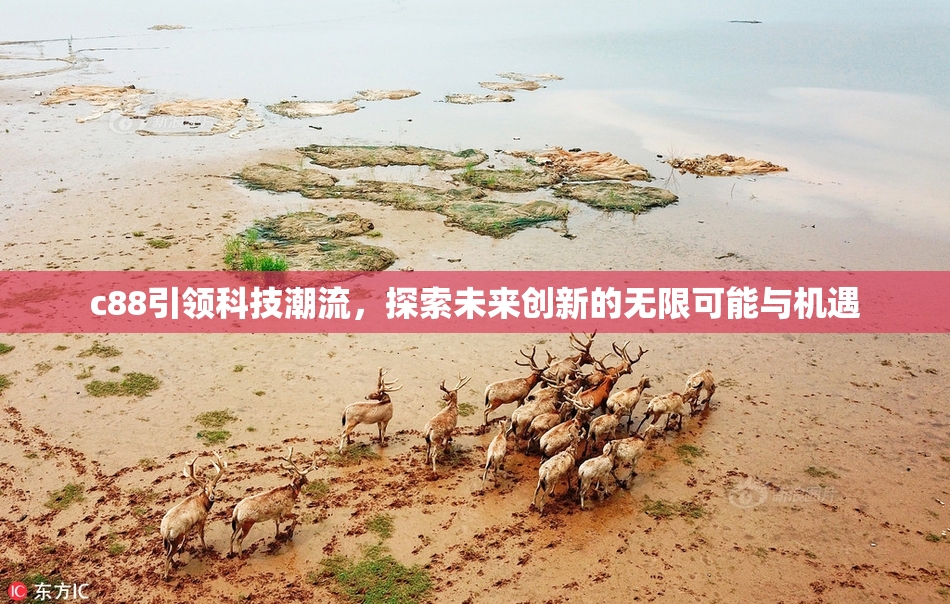 c88引领科技潮流，探索未来创新的无限可能与机遇