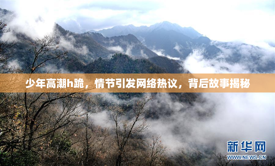 少年高潮h跪，情节引发网络热议，背后故事揭秘