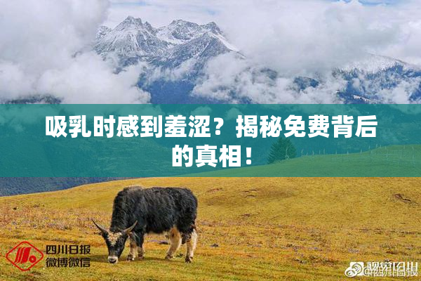 吸乳时感到羞涩？揭秘免费背后的真相！