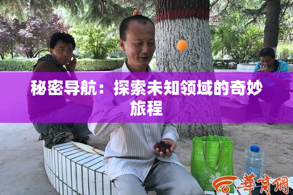 秘密导航：探索未知领域的奇妙旅程