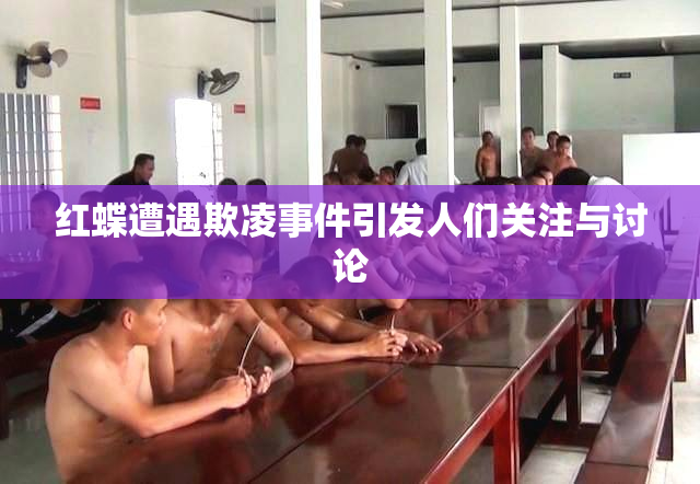 红蝶遭遇欺凌事件引发人们关注与讨论